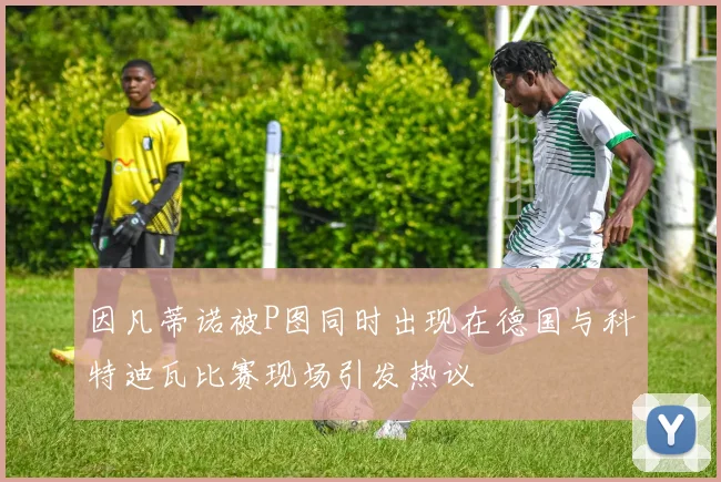 因凡蒂诺被P图同时出现在德国与科特迪瓦比赛现场引发热议