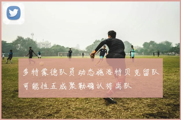 多特蒙德队员动态施洛特贝克留队可能性五成聚勒确认将离队